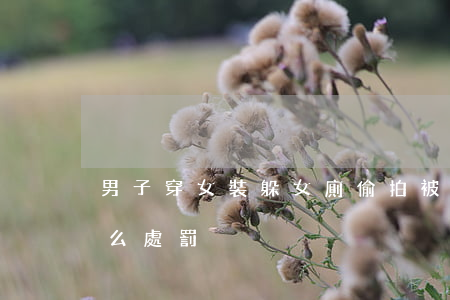 男子穿女裝躲女廁偷拍被抓 偷拍他人隱私怎么處罰?