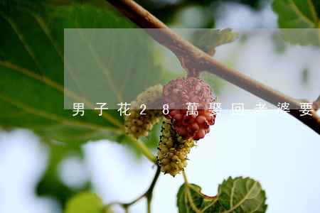 男子花28萬娶回老婆要離婚
