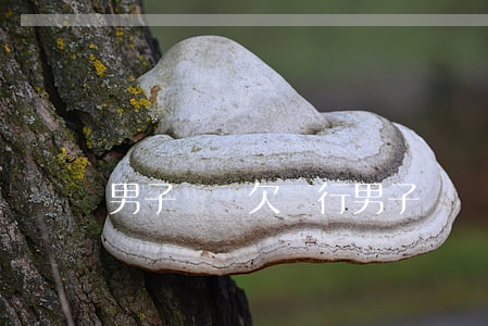 男子買煙欠銀行(男子買煙欠銀行)