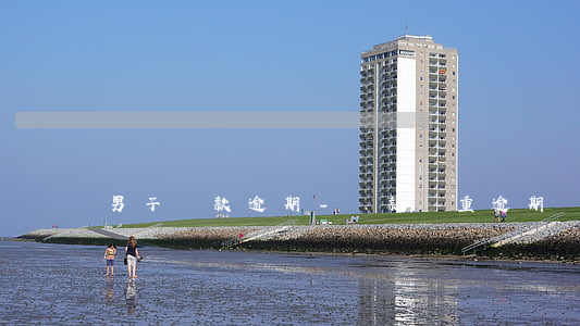 男子貸款逾期-貸款嚴重逾期