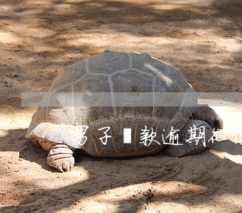男子貸款逾期征信黑名單
