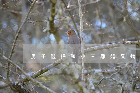 男子選擇和小三離婚又找前任