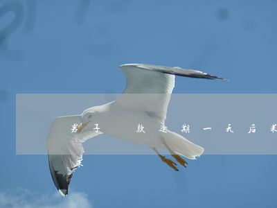 男子還款逾期一天后果(男子還款逾期一天后果)