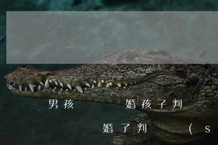男孩兩歲離婚孩子判給誰(shuí)(孩子兩歲離婚了判給誰(shuí))