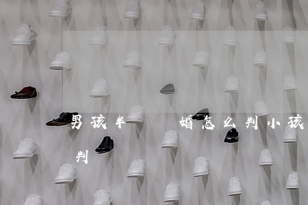 男孩半歲離婚怎么判(小孩未滿兩歲離婚怎么判)