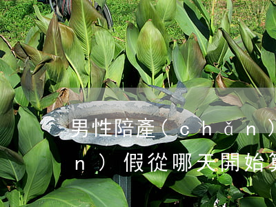 男性陪產(chǎn)假(男性陪產(chǎn)假從哪天開始算)