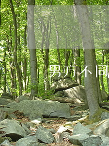 男方不同意离婚答辩状
