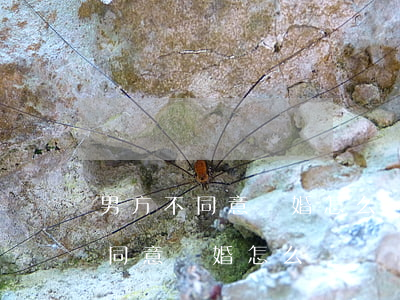 男方不同意離婚怎么辦(女方凈身出戶男方不同意離婚怎么辦)