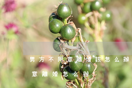 男方不同意離婚該怎么辦(女方離婚男方不同意離婚怎么辦)