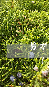 男方不履行離婚協(xié)議怎么辦(離婚協(xié)議對方不履行怎么辦)