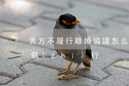 男方不履行離婚協議怎么辦(離婚協議男方不執(zhí)行)