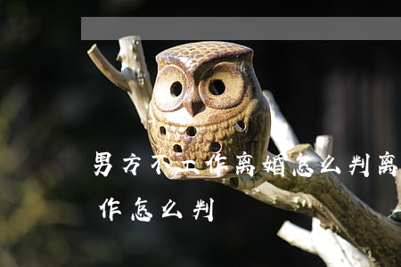 男方不工作离婚怎么判(离婚女方一直没有工作怎么判)