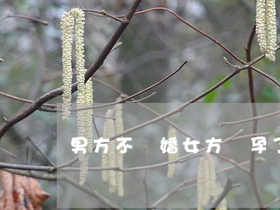 男方不離婚女方懷孕了怎么辦