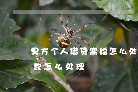 男方个人借贷离婚怎么处理(夫妻双方离婚贷款怎么处理)