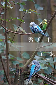 男方主動提出離婚財(cái)產(chǎn)怎么分配(男方婚前財(cái)產(chǎn)離婚后怎么分配)