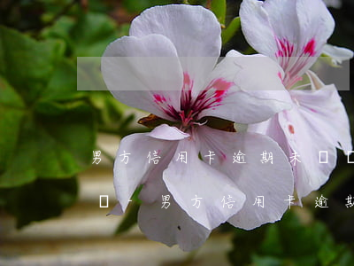 男方信用卡逾期未還會(huì)影響女方嗎-男方信用卡逾期未還會(huì)影響女方嗎嗎