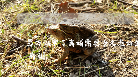 男方做牢了离婚需要多久(老公坐牢多久可以离婚)