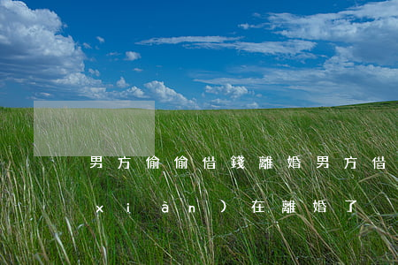 男方偷偷借錢離婚(男方借錢女方不知道現(xiàn)在離婚了)