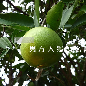 男方入獄怎么離婚