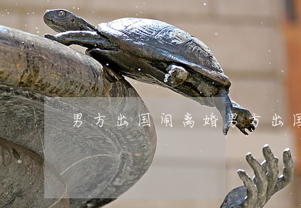 男方出国闹离婚(男方出国了怎么离婚)