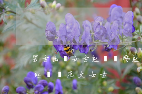 男方出軌女方起訴離婚起訴書(男方出軌離婚起訴書范文 女方)