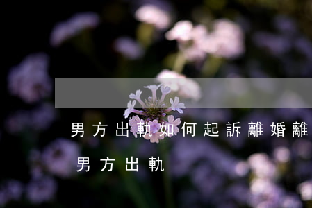 男方出軌如何起訴離婚(離婚該怎么起訴離婚男方出軌)