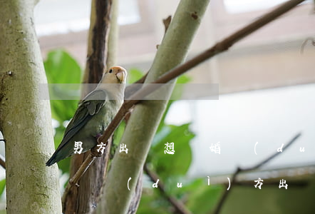 男方出軌想離婚對(duì)方不離婚怎么辦(對(duì)方出軌又不肯離婚,我想離怎么辦?)