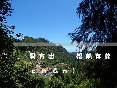 男方出軌離婚前存款(離婚有一方出軌財產(chǎn))