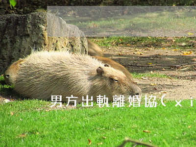 男方出軌離婚協(xié)議書