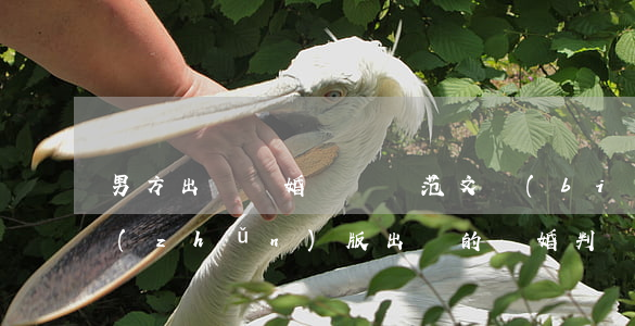 男方出軌離婚訴訟書范文標(biāo)準(zhǔn)版(出軌的離婚判決書樣本)