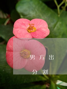 男方出軌離婚財(cái)產(chǎn)分割