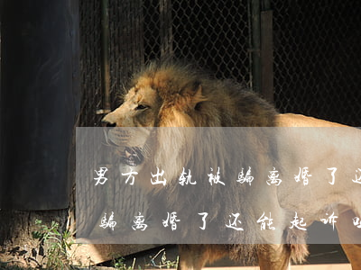男方出轨被骗离婚了还能起诉吗(男方出轨被骗离婚了还能起诉吗)