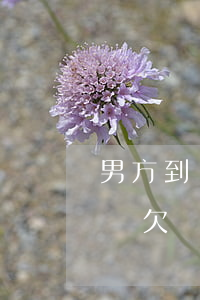 男方到處欠錢起訴離婚孩子怎么辦-男方到處欠錢起訴離婚孩子怎么辦呢