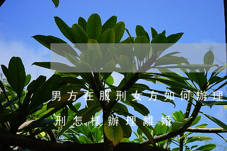 男方在服刑女方如何辦理離婚(男方在外地服刑怎樣辦理離婚)