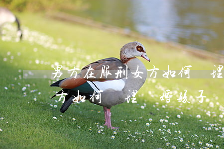 男方在服刑女方如何辦理離婚，男方在服刑女方如何辦理離婚，孩子撫養(yǎng)權(quán)歸誰(shuí)