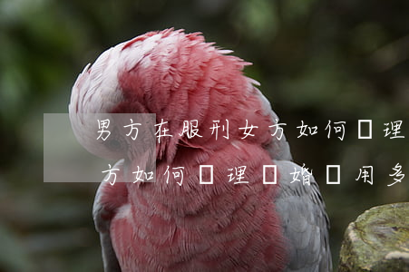 男方在服刑女方如何辦理離婚(男方在服刑女方如何辦理離婚費用多少)