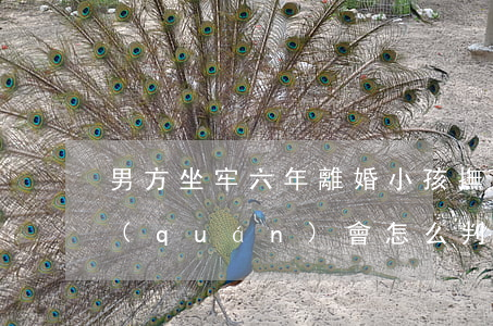 男方坐牢六年離婚小孩撫養(yǎng)權(quán)會怎么判(離婚男孩撫養(yǎng)權(quán)法院一般判給誰)