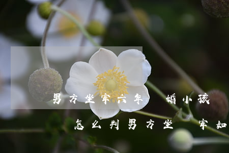 男方坐牢六年離婚小孩撫養(yǎng)權會怎么判(男方坐過牢如果離婚孩子判給誰)