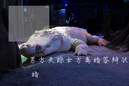 男方失踪女方离婚答辩状(女方失踪了怎么离婚)