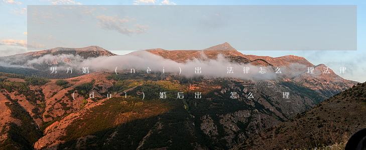 男方婚內(nèi)出軌法律怎么處理(法律對(duì)婚后出軌怎么處理?)