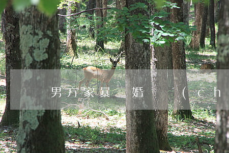 男方家暴離婚財產(chǎn)分割
