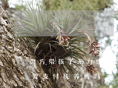 男方带孩子无力偿还(如果男方带孩子女方需要支付抚养费吗)