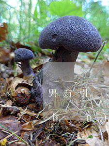 男方引產(chǎn)后離婚(男方引產(chǎn)后離婚)