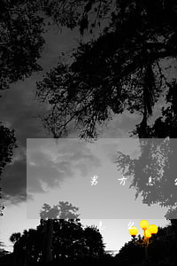 男方怎么起訴離婚(起訴離婚男方不同意離婚怎么辦)