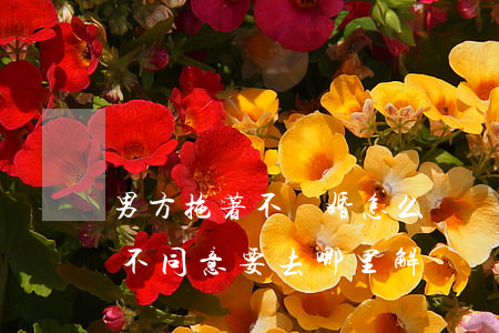 男方拖著不離婚怎么辦(雙方要離婚,男方拖著不同意,要去哪里解決)