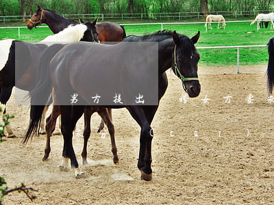 男方提出離婚女方要求(男方提出離婚女方要求分財(cái)產(chǎn))