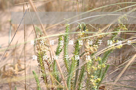 男方提出離婚孩子歸誰怎么分配(女方和男方離婚孩子歸誰)