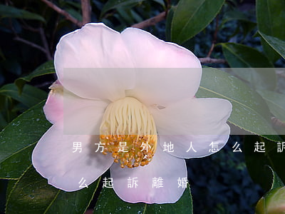 男方是外地人怎么起訴離婚(男方是外地人怎么起訴離婚)