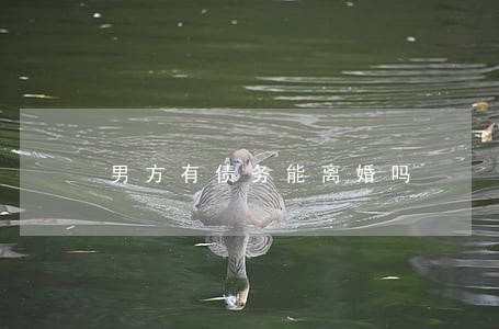 男方有债务能离婚吗