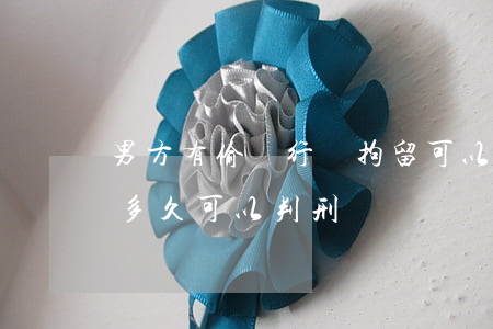 男方有偷盜行為拘留可以判離婚嗎(盜竊拘留多久可以判刑)